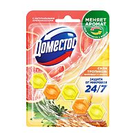 освежитель для туалета подвеска блок DOMESTOS (ДОМЕСТОС) 50г Сила тропиков 1/9