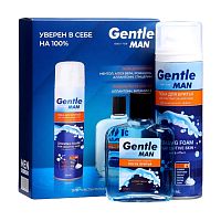 набор муж.GENTLE (пена д/бр 200мл+лосьон п/бр 100мл) 1/12 Дельта Парфюм