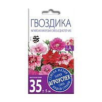 семена цветы ГВОЗДИКА 0,3г Китайская махровая смесь цв/п 1/10 АГРОУСПЕХ Мин.заказ=10